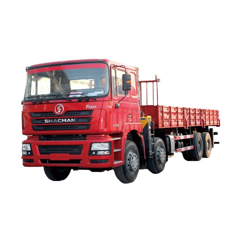 SHACMAN 制造商 F3000 运输起重机卡车出售
